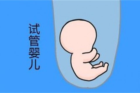 http://jiaxing.vdtfzz.com/post/194.html|嘉兴新闻中心