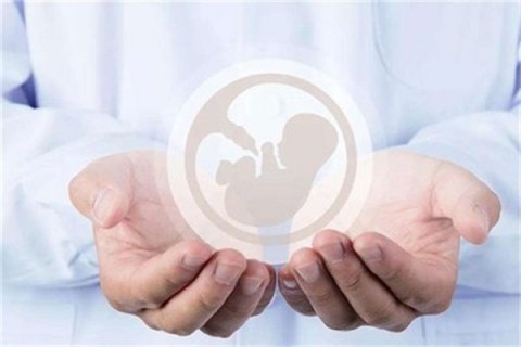 http://jiaxing.vdtfzz.com/post/214.html|嘉兴人工试管